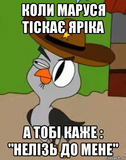 коли маруся тіскає яріка а тобі каже : "нелізь до мене", Мем    Упоротая сова