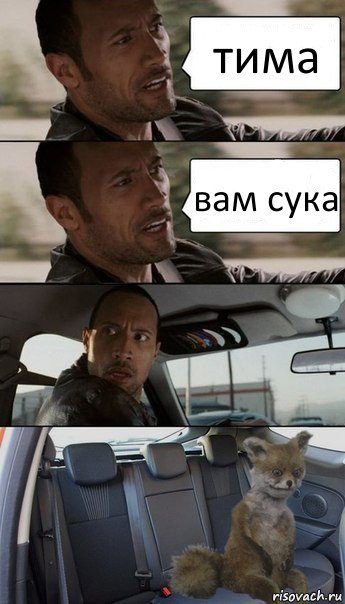 тима вам сука