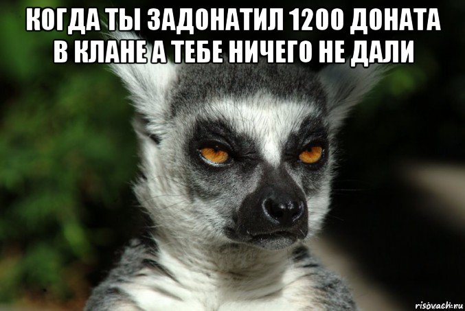 когда ты задонатил 1200 доната в клане а тебе ничего не дали , Мем   Я збагоен