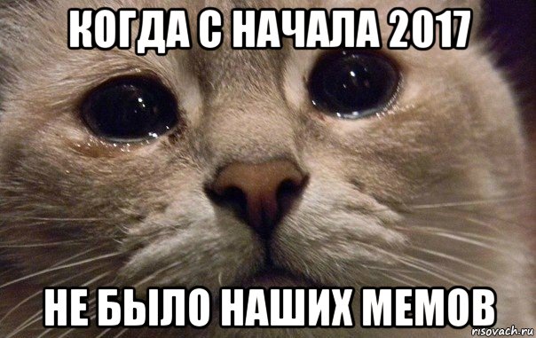 когда с начала 2017 не было наших мемов, Мем   В мире грустит один котик