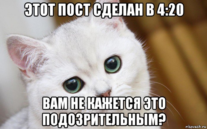 этот пост сделан в 4:20 вам не кажется это подозрительным?, Мем  В мире грустит один котик