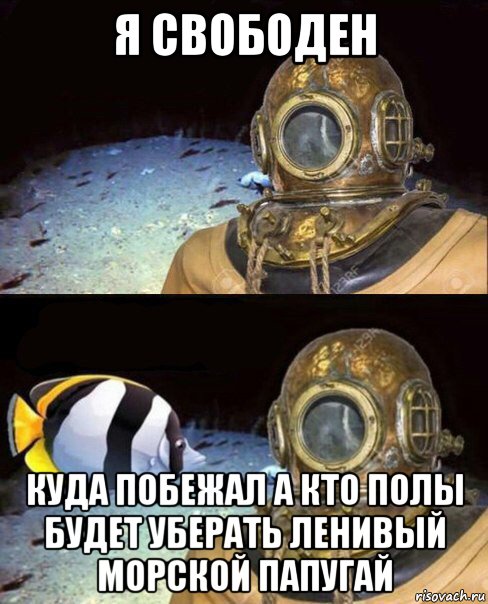 я свободен куда побежал а кто полы будет уберать ленивый морской папугай, Мем   Высокое давление