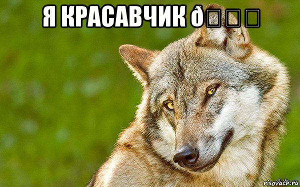 Мем   Volf