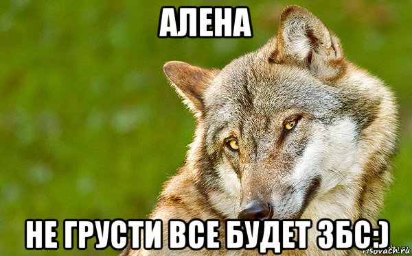 алена не грусти все будет збс:), Мем   Volf