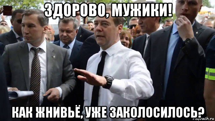 здорово, мужики! как жнивьё, уже заколосилось?, Мем Всего хорошего