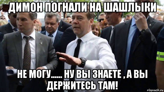 димон погнали на шашлыки не могу...... ну вы знаете , а вы держитесь там!, Мем Всего хорошего