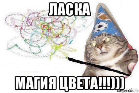 ласка магия цвета!!!))), Мем Вжух мем