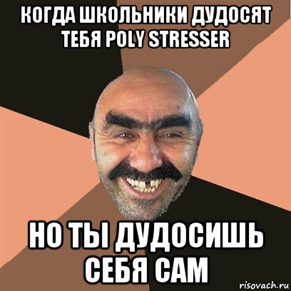 когда школьники дудосят тебя poly stresser но ты дудосишь себя сам, Мем Я твой дом труба шатал