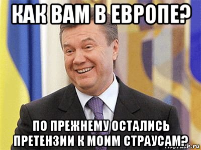 как вам в европе? по прежнему остались претензии к моим страусам?, Мем Янукович