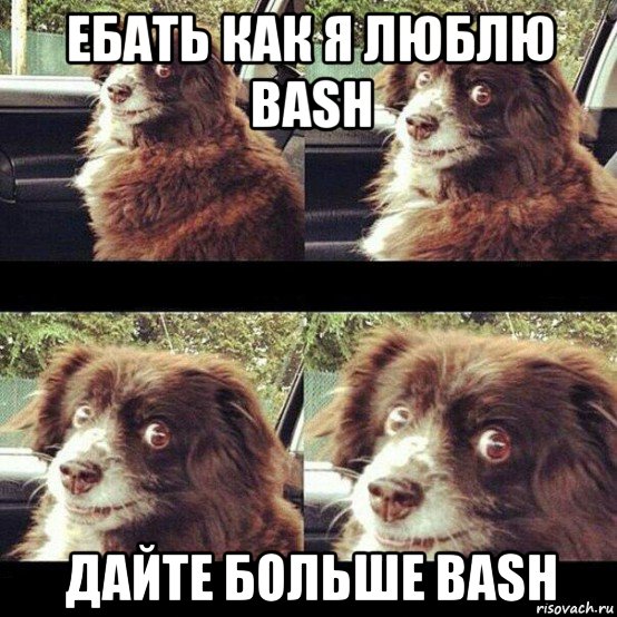 ебать как я люблю bash дайте больше bash