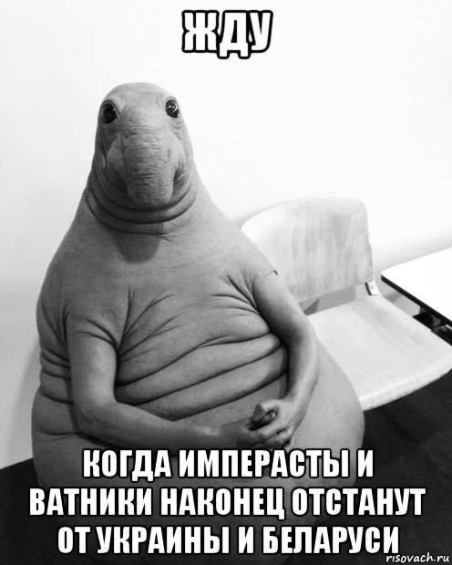 жду когда имперасты и ватники наконец отстанут от украины и беларуси, Мем  Ждун