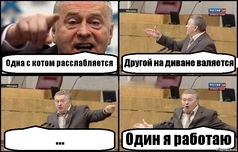 Одна с котом расслабляется Другой на диване валяется ... Один я работаю, Комикс Жириновский