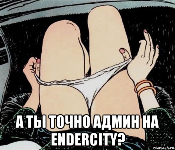  а ты точно админ на endercity?, Мем А ты точно