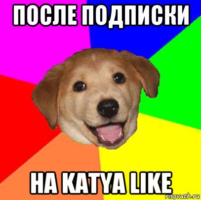 после подписки на katya like, Мем Advice Dog