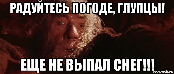 радуйтесь погоде, глупцы! еще не выпал снег!!!, Мем бегите глупцы