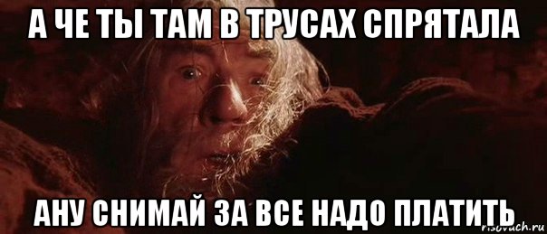 а че ты там в трусах спрятала ану снимай за все надо платить, Мем бегите глупцы