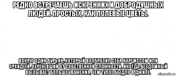 редко встречаешь искренних и добродушных людей. простых, как полевые цветы. вокруг один бурьян, который вообразил себя нарциссом или орхидеей, охреневший от собственной сложности. иногда бездомный вызывает больше уважения, чем тупое быдло в джипе., Мем Белый ФОН