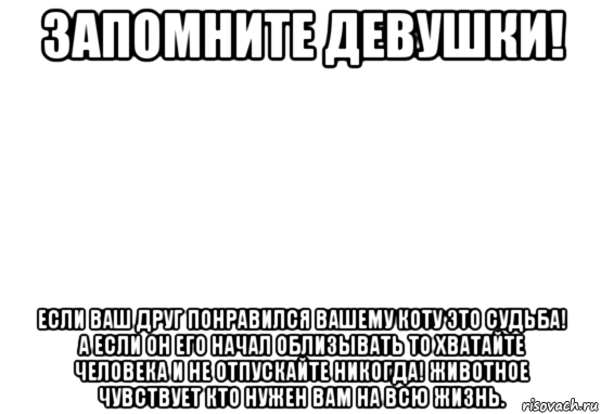 запомните девушки! если ваш друг понравился вашему коту это судьба! а если он его начал облизывать то хватайте человека и не отпускайте никогда! животное чувствует кто нужен вам на всю жизнь.