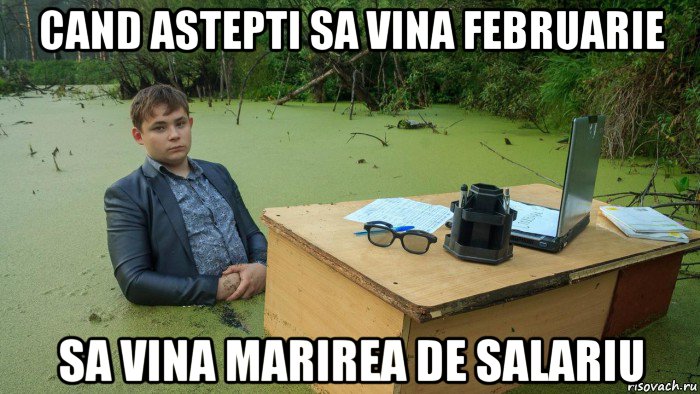 cand astepti sa vina februarie sa vina marirea de salariu, Мем  Парень сидит в болоте