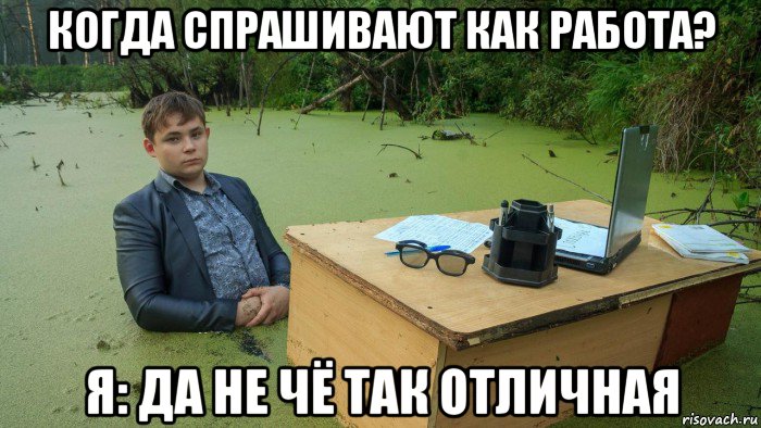 когда спрашивают как работа? я: да не чё так отличная, Мем  Парень сидит в болоте