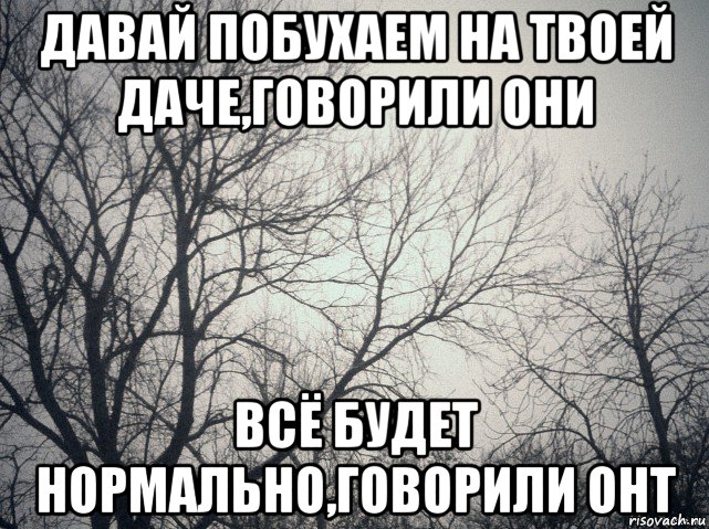 давай побухаем на твоей даче,говорили они всё будет нормально,говорили онт, Мем  будет весело говорили они