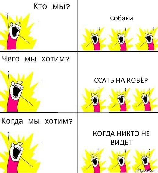 Собаки Ссать на ковёр Когда никто не видет, Комикс Что мы хотим