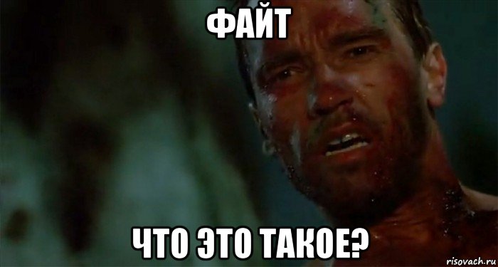 файт что это такое?