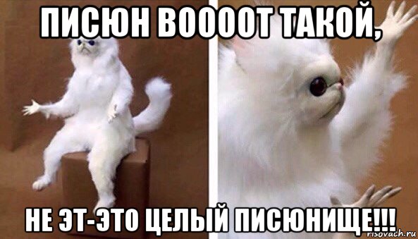 писюн воооот такой, не эт-это целый писюнище!!!, Мем Чучело кота