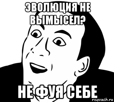 эволюция не вымысел? не фуя себе