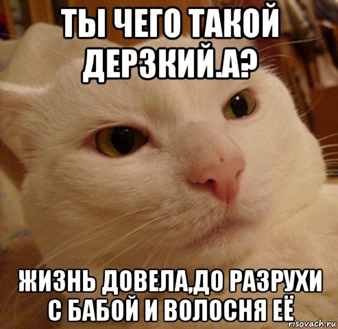 ты чего такой дерзкий.а? жизнь довела,до разрухи с бабой и волосня её, Мем Дерзкий котэ