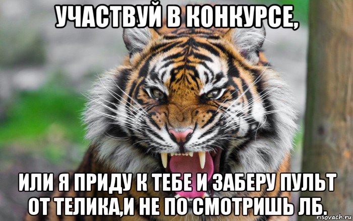 участвуй в конкурсе, или я приду к тебе и заберу пульт от телика,и не по смотришь лб.