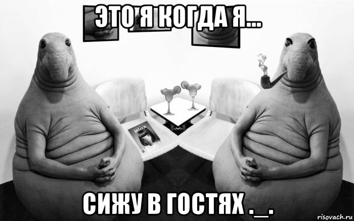 это я когда я... сижу в гостях ._.