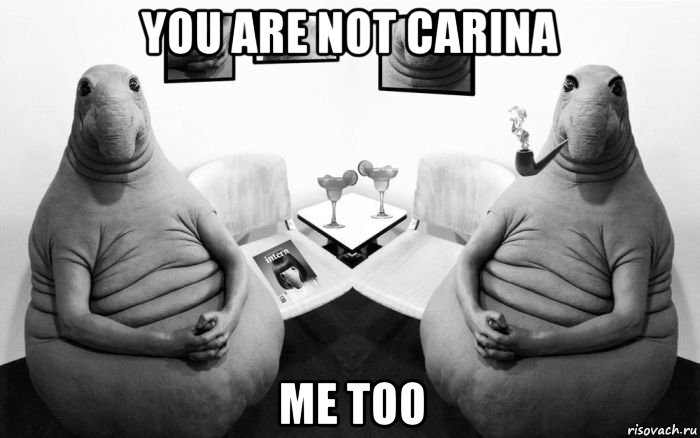 you are not carina me too, Мем  Два ждуна