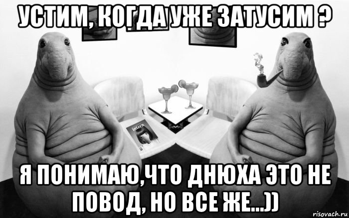 устим, когда уже затусим ? я понимаю,что днюха это не повод, но все же...)), Мем  Два ждуна