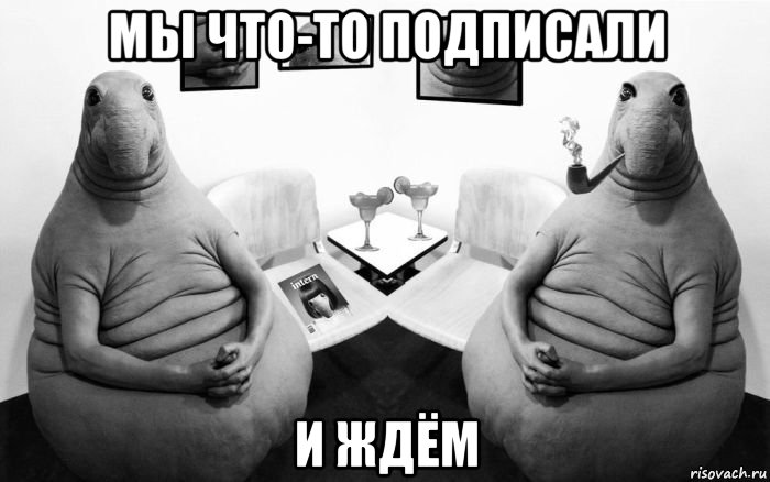 мы что-то подписали и ждём