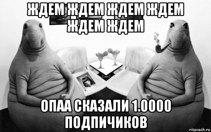 ждем ждем ждем ждем ждем ждем опаа сказали 1.0000 подпичиков