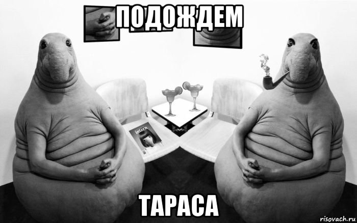 подождем тараса