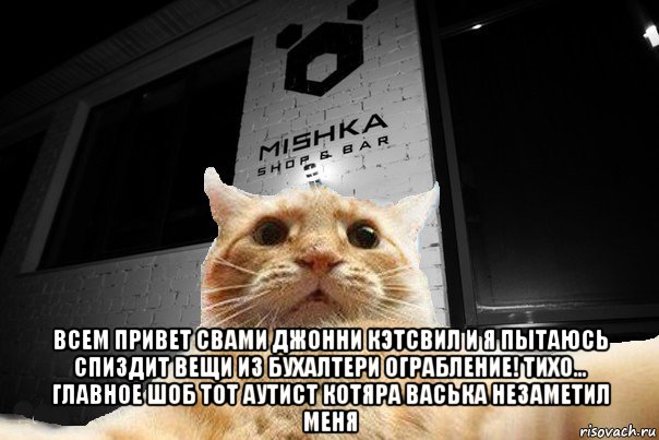  всем привет свами джонни кэтсвил и я пытаюсь спиздит вещи из бухалтери ограбление! тихо... главное шоб тот аутист котяра васька незаметил меня, Мем   Джонни Кэтсвилл