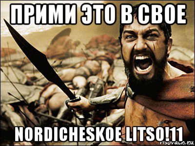 прими это в свое nordicheskoe litso!11, Мем Это Спарта