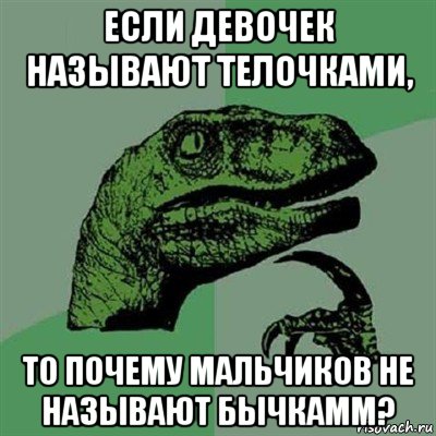 если девочек называют телочками, то почему мальчиков не называют бычкамм?, Мем Филосораптор