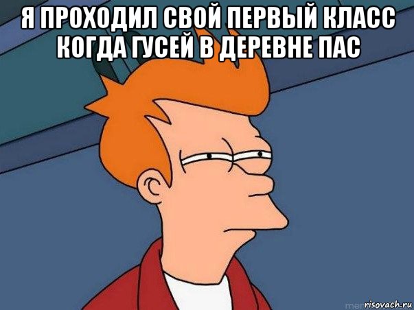 я проходил свой первый класс когда гусей в деревне пас , Мем  Фрай (мне кажется или)