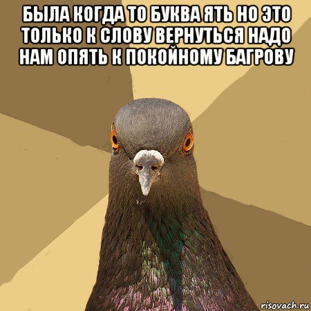 была когда то буква ять но это только к слову вернуться надо нам опять к покойному багрову , Мем голубь