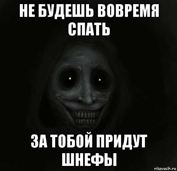 не будешь вовремя спать за тобой придут шнефы, Мем Ночной гость