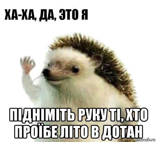  підніміть руку ті, хто проїбе літо в дотан, Мем Ха-ха да это я