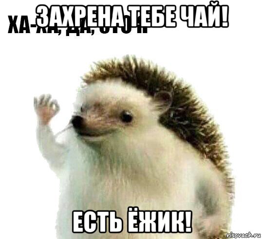 захрена тебе чай! есть ёжик!, Мем Ха-ха да это я