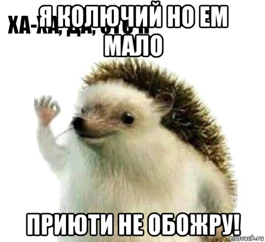 я колючий но ем мало приюти не обожру!, Мем Ха-ха да это я