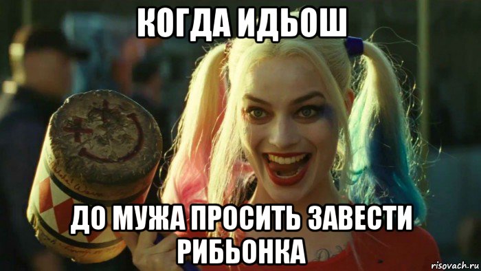 когда идьош до мужа просить завести рибьонка, Мем    Harley quinn