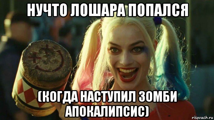 нучто лошара попался (когда наступил зомби апокалипсис), Мем    Harley quinn