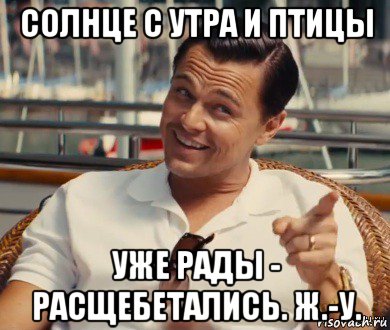 солнце с утра и птицы уже рады - расщебетались. ж.-у., Мем Хитрый Гэтсби