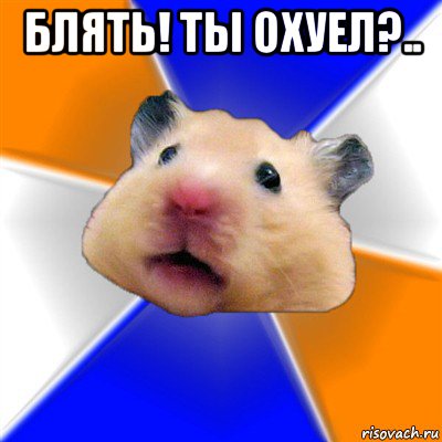 блять! ты охуел?.. , Мем Хомяк